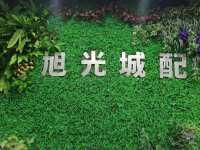 货运司机